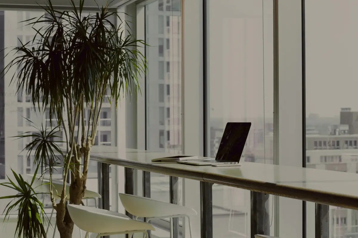 An office desktop window side with a laptop opened alongside a big indoor plant