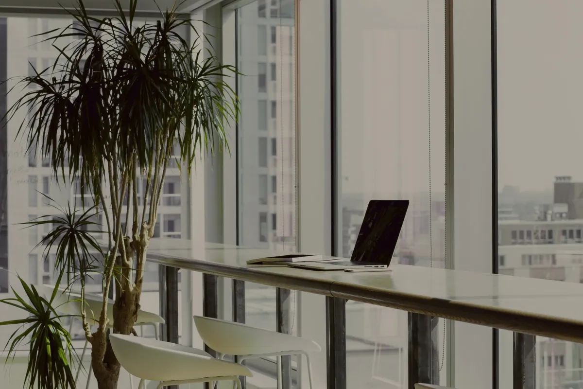An office desktop window side with a laptop opened alongside a big indoor plant